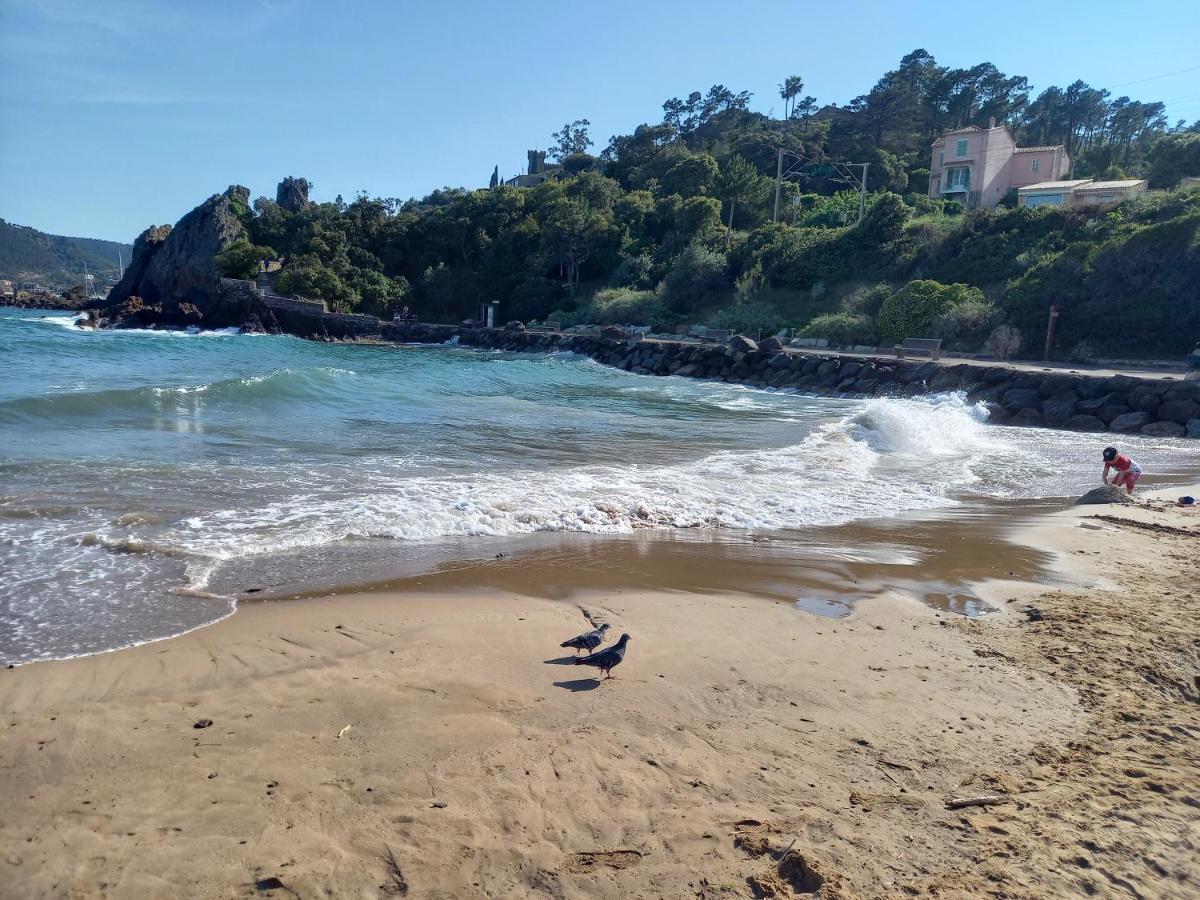 Villa Malibu Mandelieu Kültér fotó